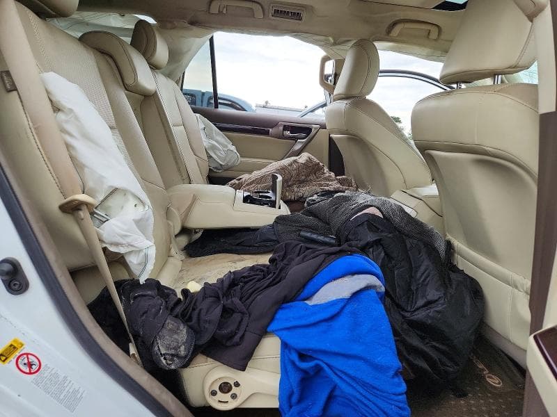 2018 LEXUS GX 460 11