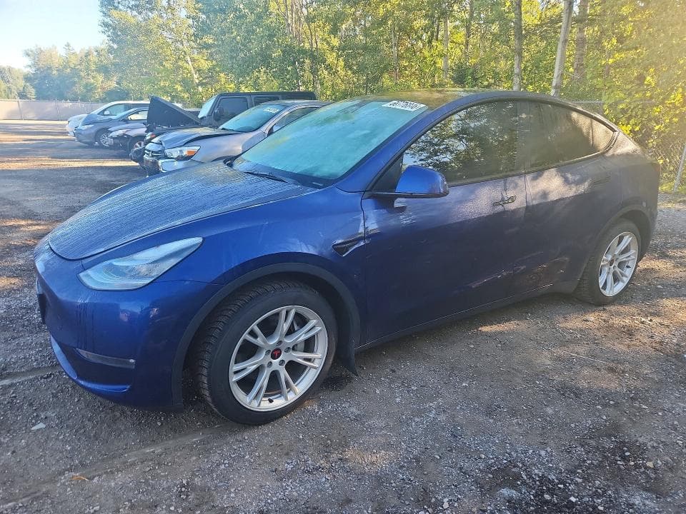 2021 TESLA MODEL Y - 1