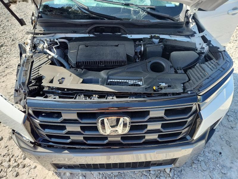 2026 HONDA PILOT EXL 12