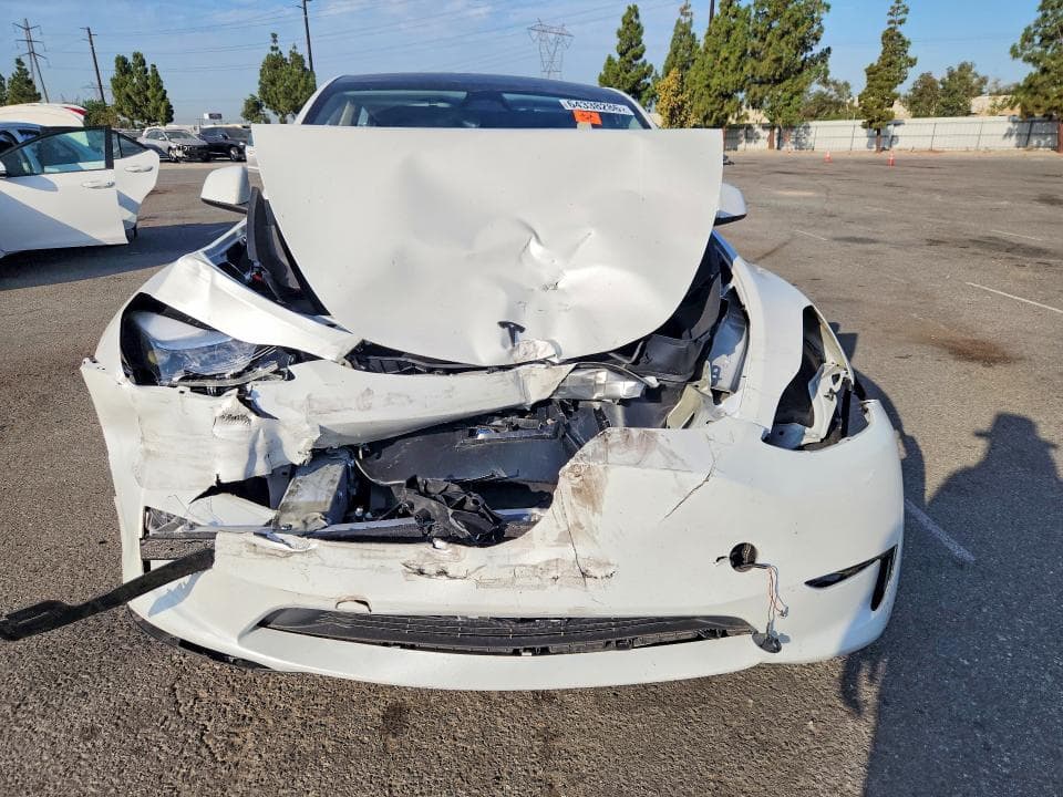 2025 TESLA MODEL Y 5