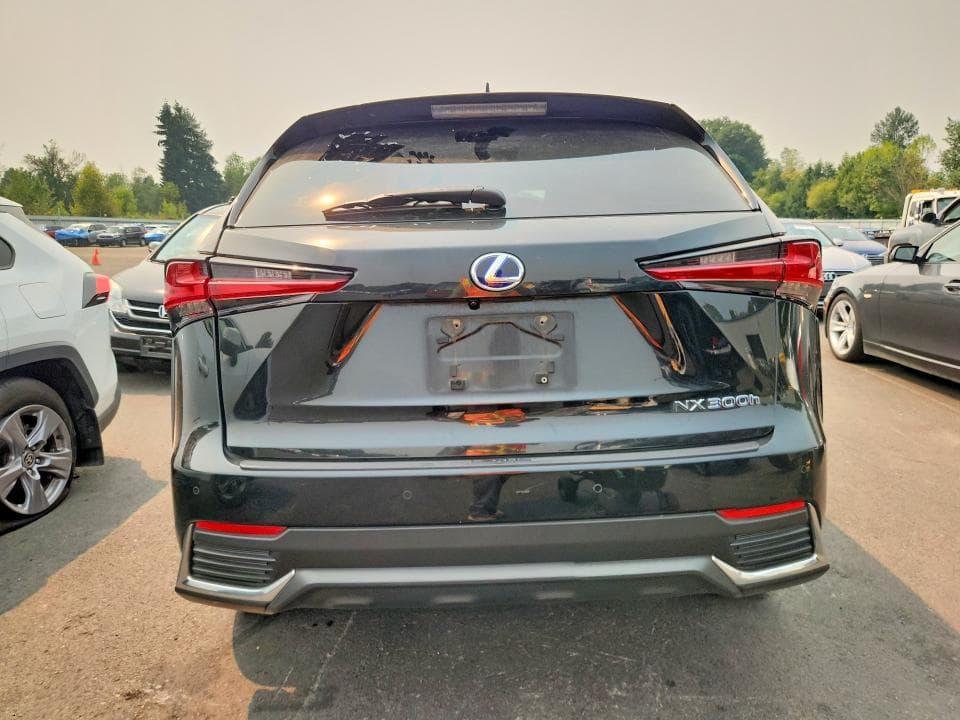 2019 LEXUS NX 300H 6