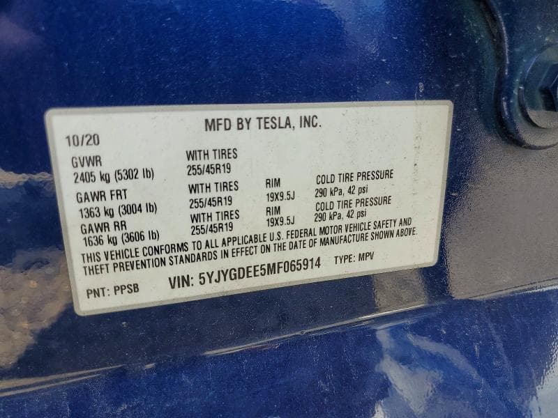 2021 TESLA MODEL Y 12