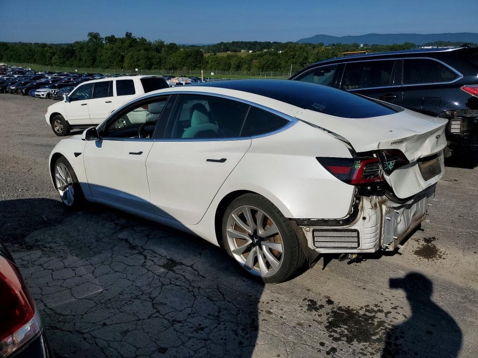 2019 TESLA MODEL 3 2