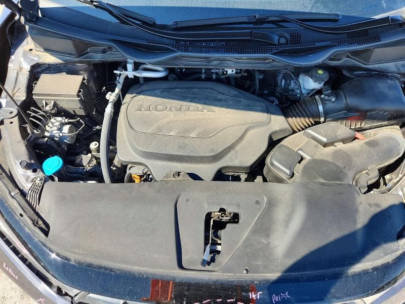 2025 HONDA ODYSSEY EXL 12