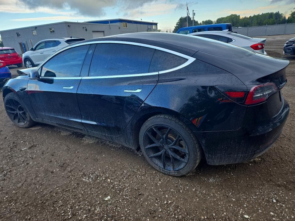 2019 TESLA MODEL 3 2