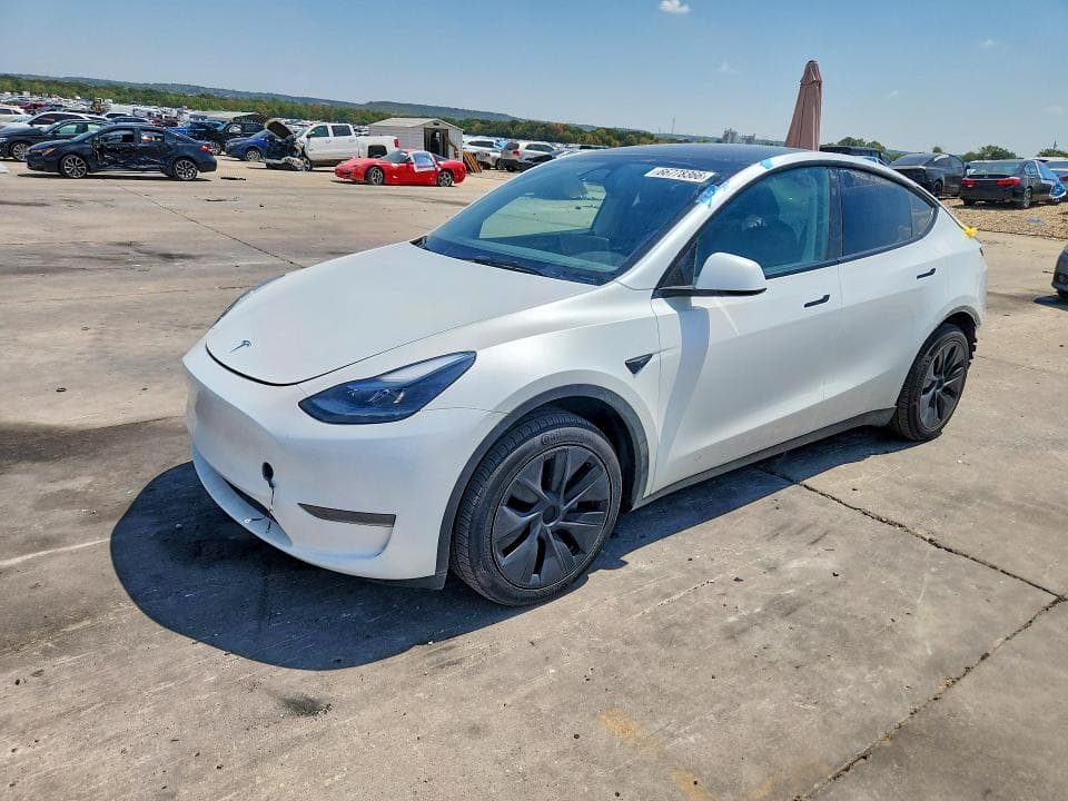 2025 TESLA MODEL Y - 1