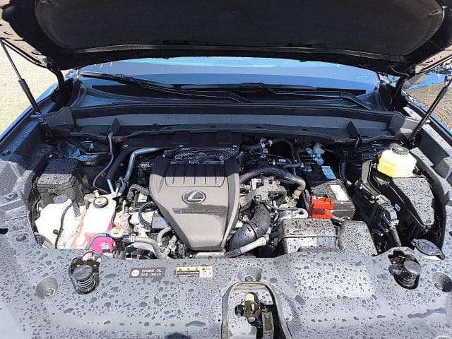 2026 LEXUS TX 350 PREMIUM 12