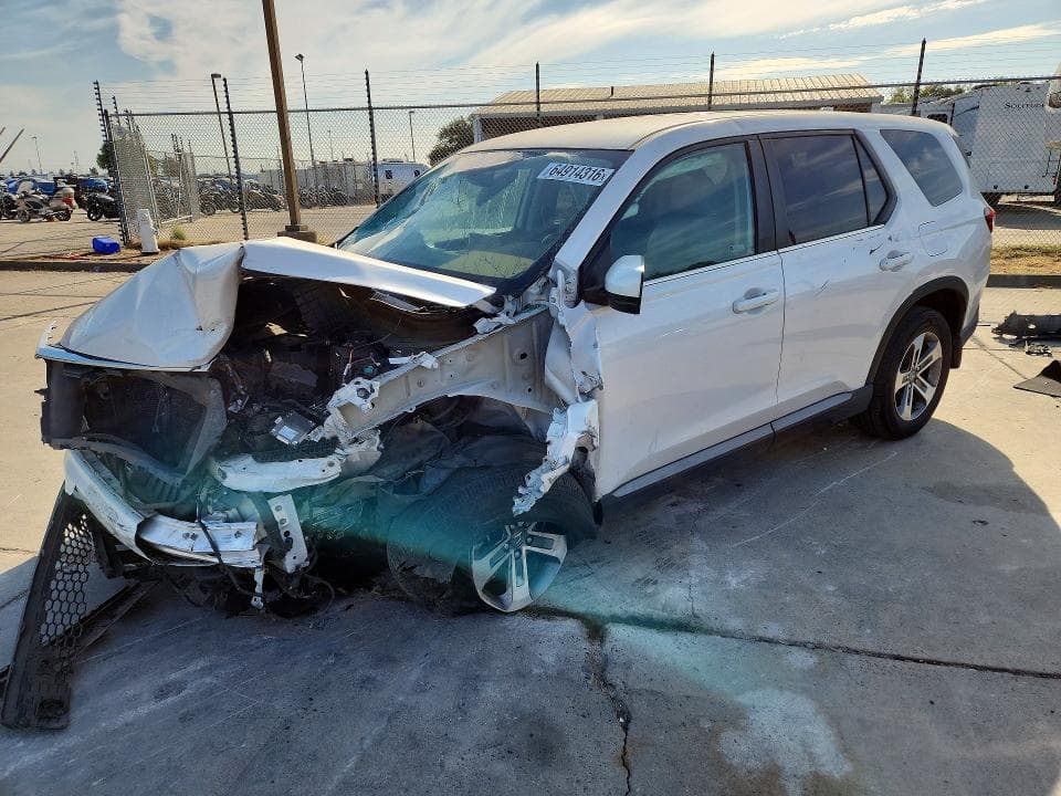 2024 HONDA PILOT EXL - 1