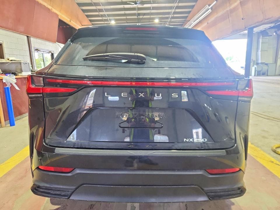 2024 LEXUS NX 250 BASE 6