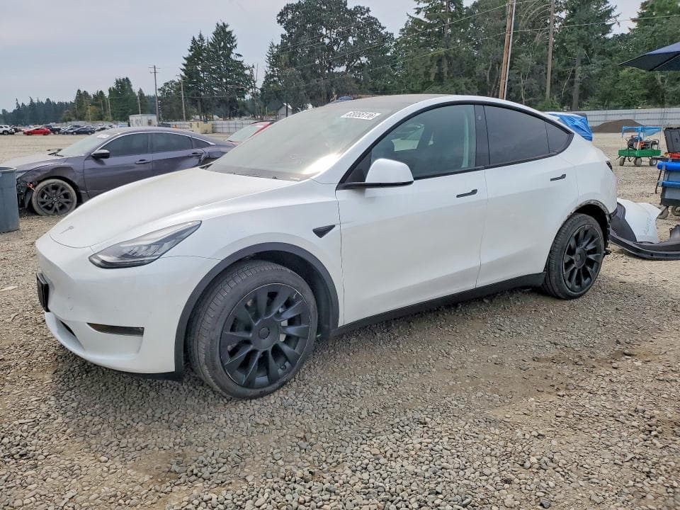 2020 TESLA MODEL Y - 1