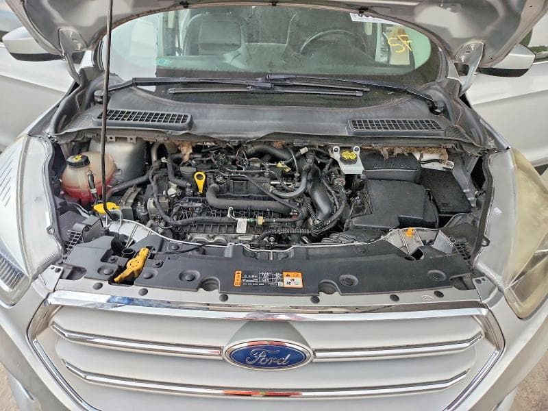 2019 FORD ESCAPE SEL 12