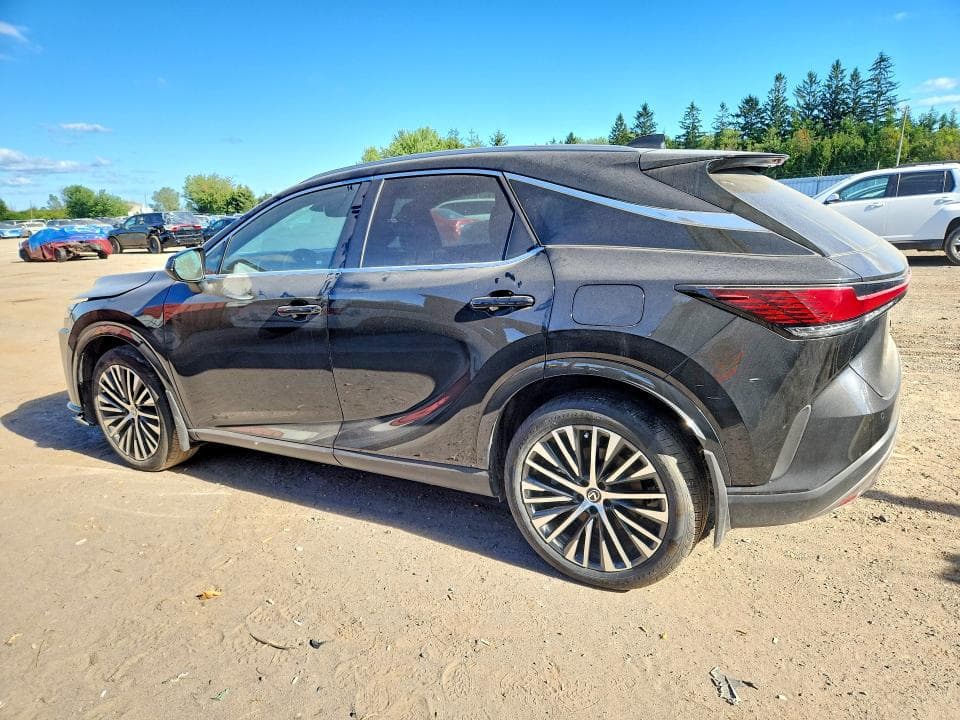 2024 LEXUS RX 350 BASE 2