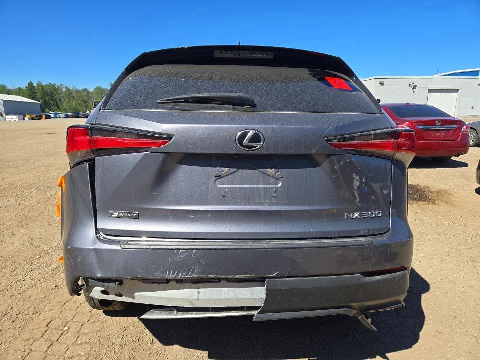 2019 LEXUS NX 300 BASE 6