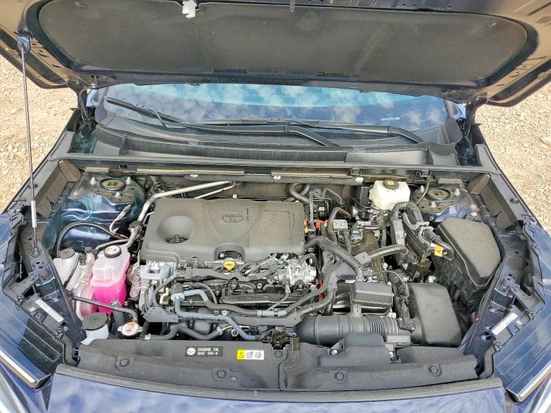 2026 TOYOTA RAV4 XLE PREMIUM 12