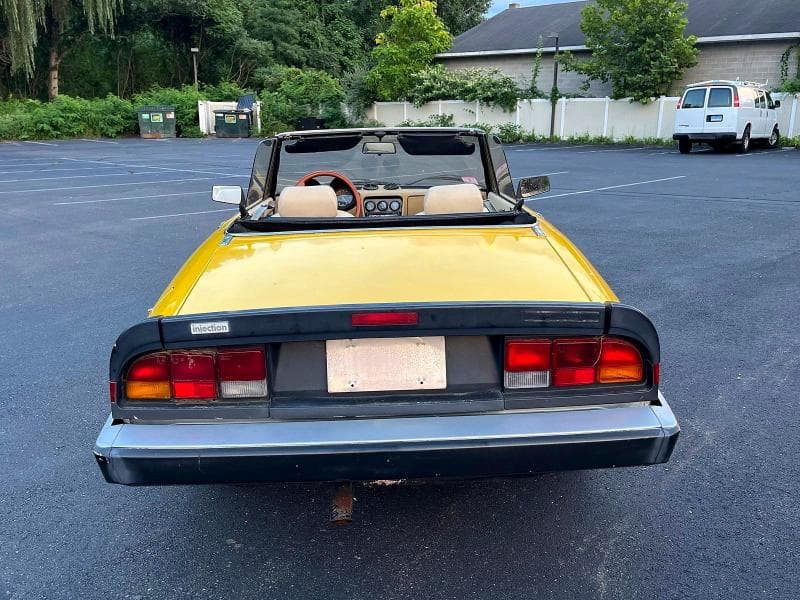 1983 ALFA ROMEO VELOCE 2000 SPIDER 6
