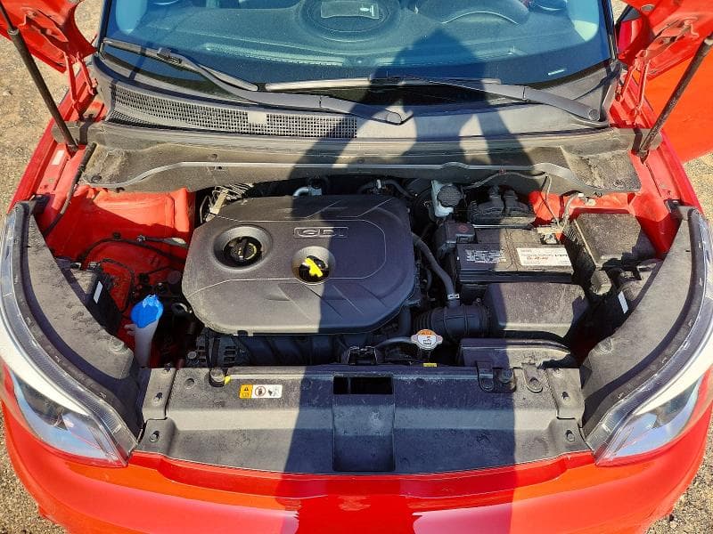 2019 KIA SOUL + 11