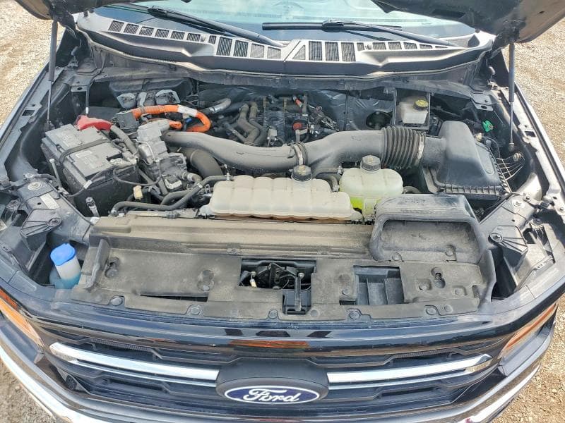 2024 FORD F150 XLT 11