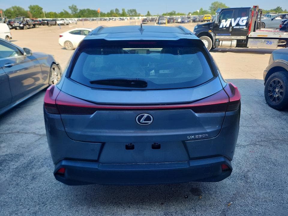 2019 LEXUS UX 250H 6