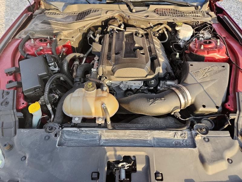 2019 FORD MUSTANG 11