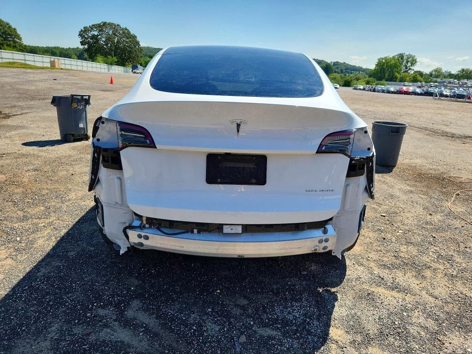 2024 TESLA MODEL Y 6