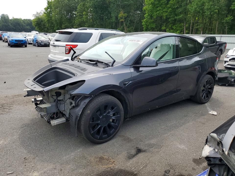 2025 TESLA MODEL Y - 1