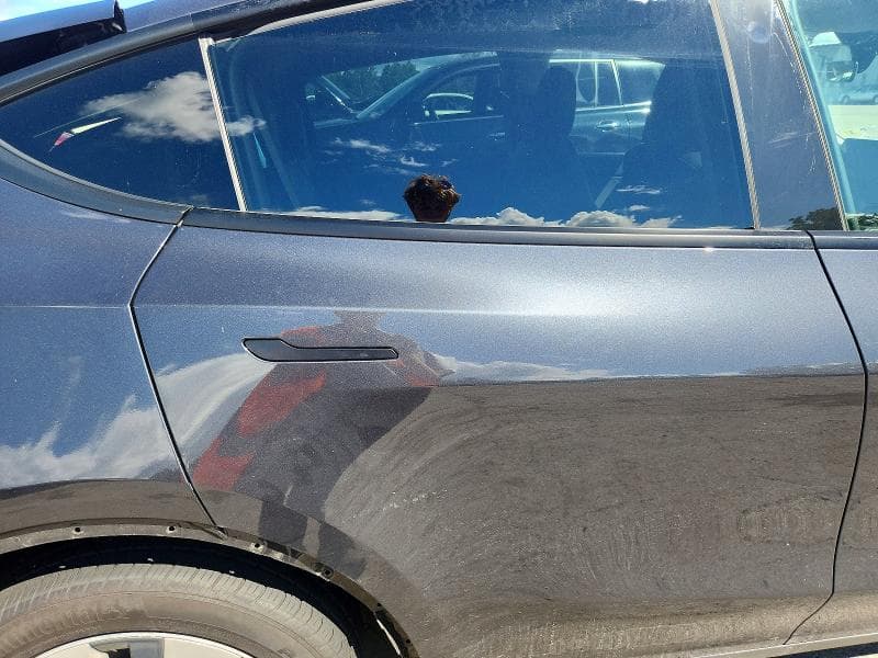 2024 TESLA MODEL Y 10