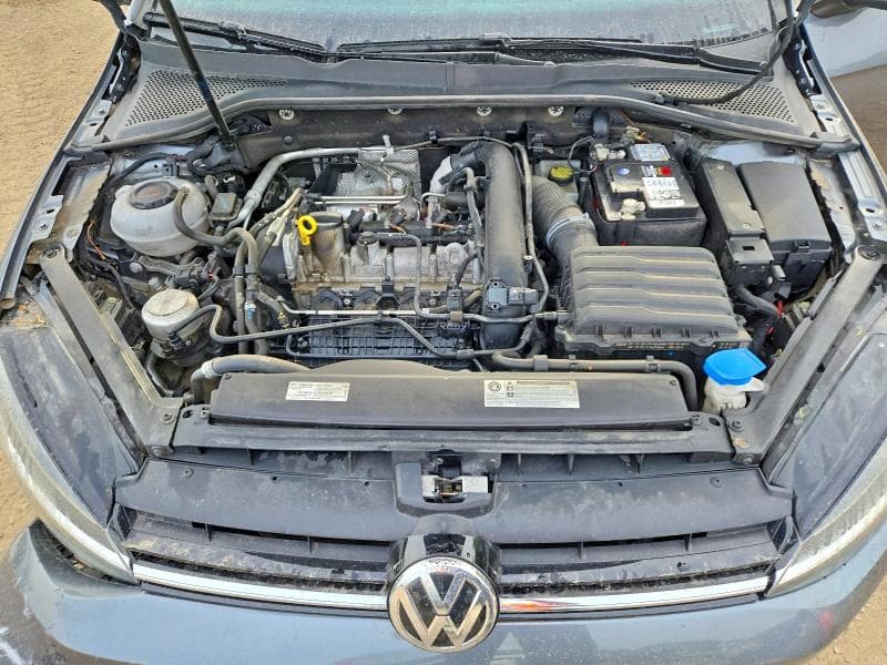 2019 VOLKSWAGEN GOLF S 11