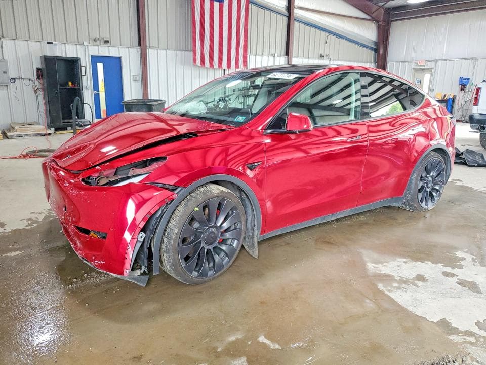 2023 TESLA MODEL Y - 1