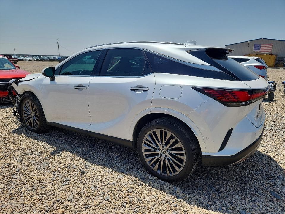 2025 LEXUS RX 350 LUXURY 2