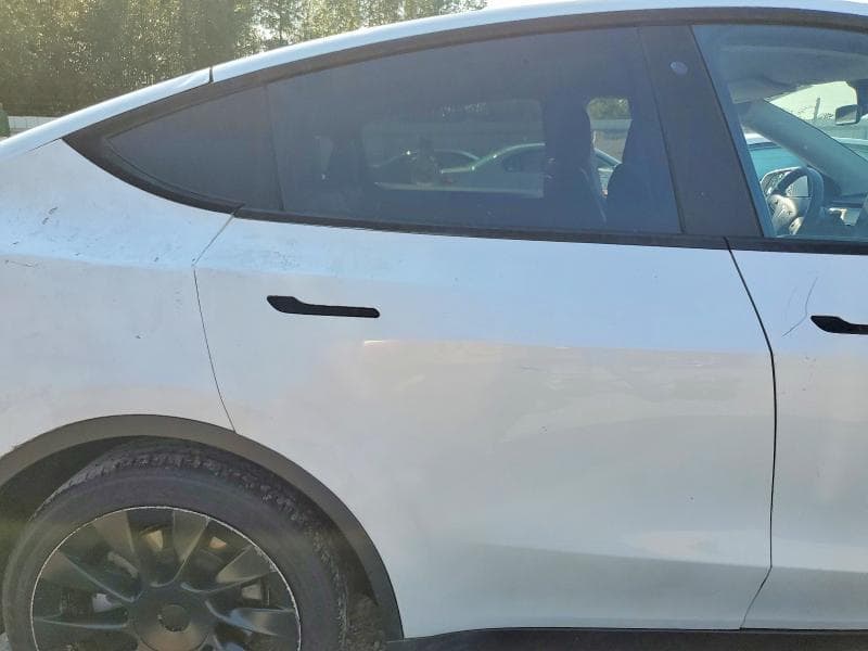 2020 TESLA MODEL Y 11