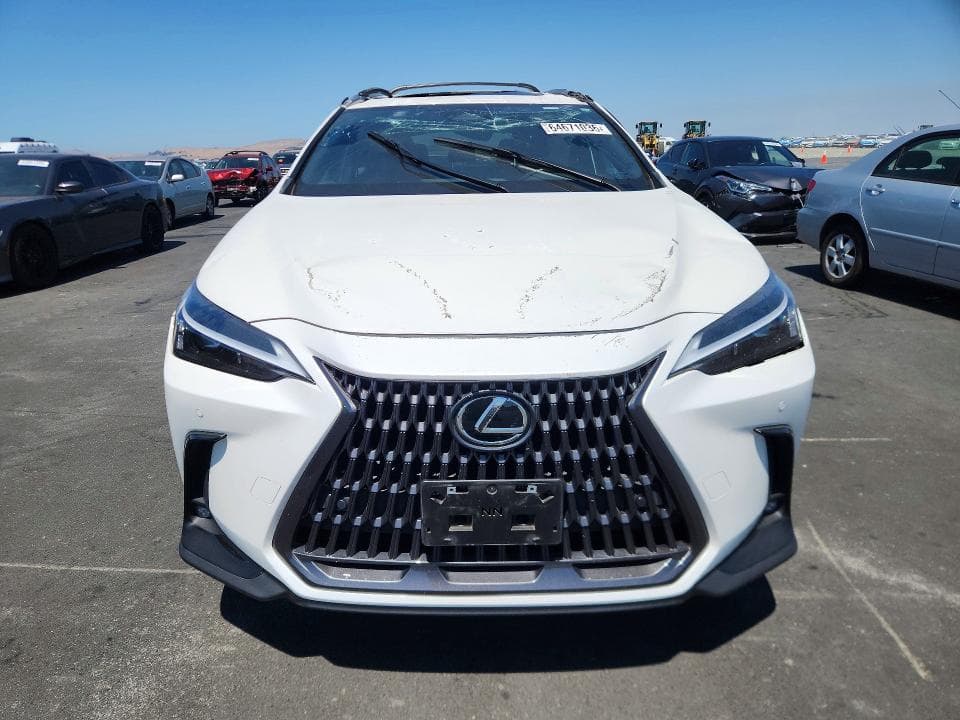 2023 LEXUS NX 350H 5