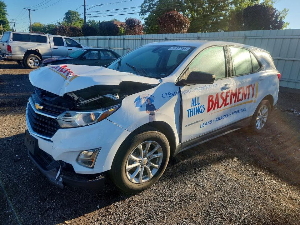 2019 CHEVROLET EQUINOX LS - 1