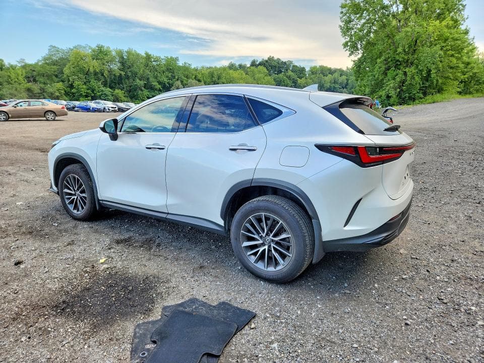 2024 LEXUS NX 350 BASE 2