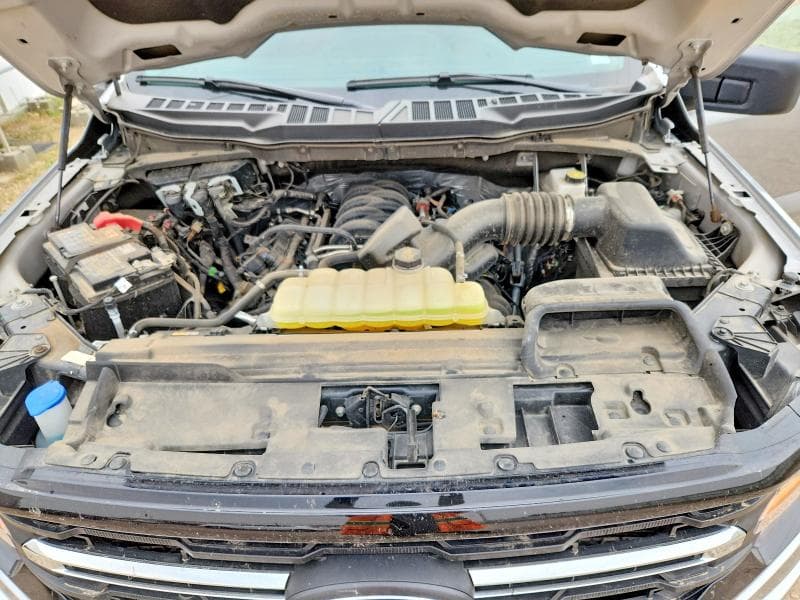 2025 FORD F150 XLT 11