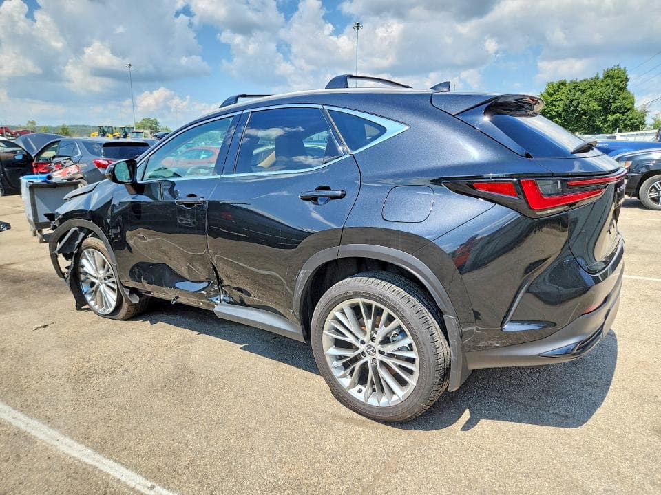 2025 LEXUS NX 350 PREMIUM 2