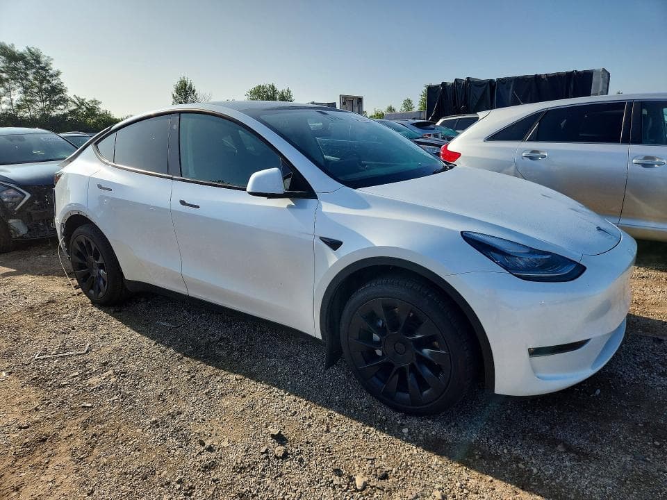2023 TESLA MODEL Y 4