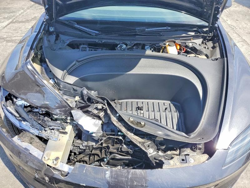 2025 TESLA MODEL 3 11