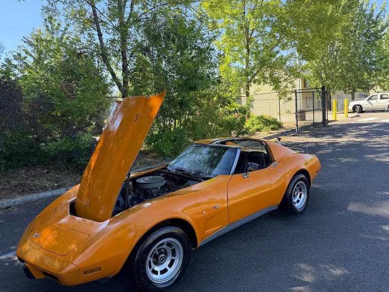 1977 CHEVROLET CORVETTE 9