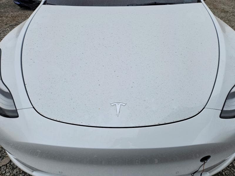 2022 TESLA MODEL Y 11