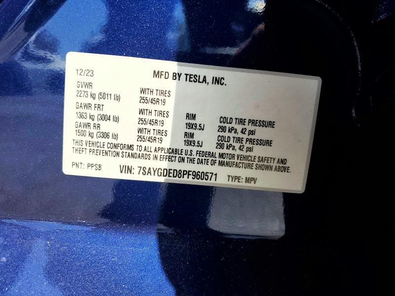 2023 TESLA MODEL Y 12