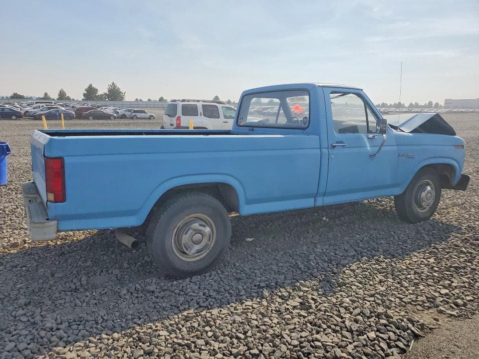 1981 FORD F250 3