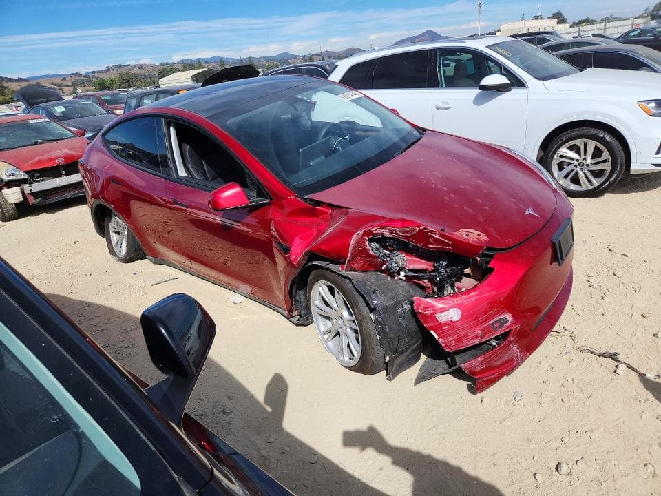 2024 TESLA MODEL Y 4