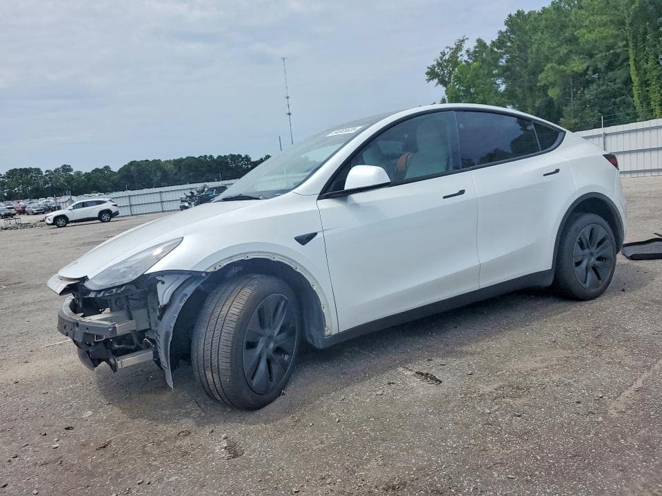 2025 TESLA MODEL Y - 1