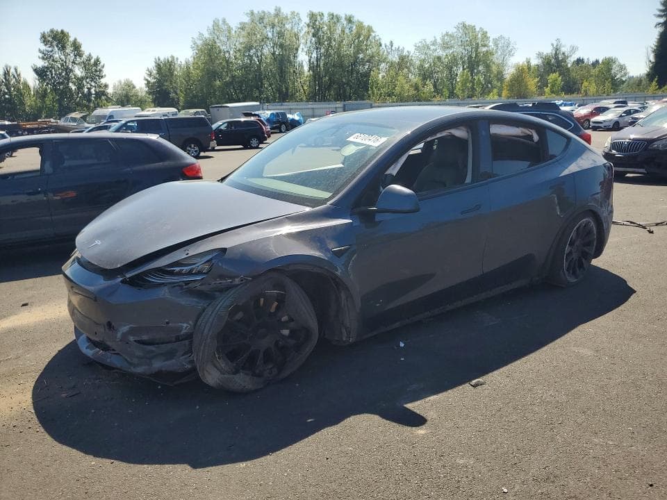 2022 TESLA MODEL Y - 1