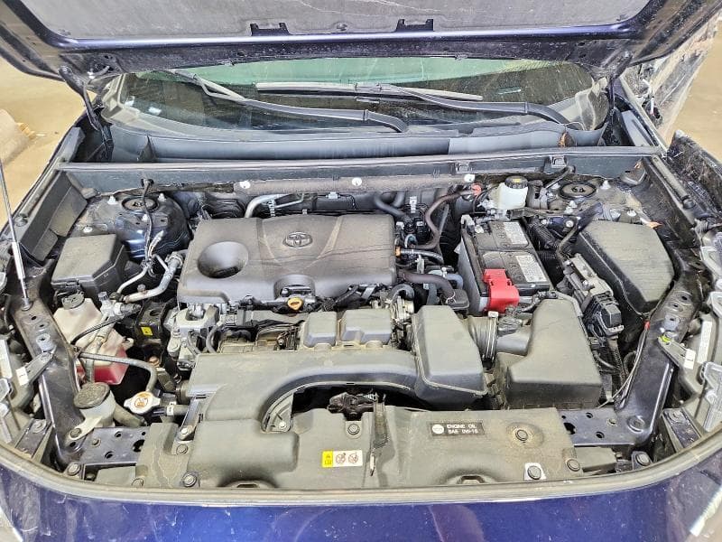 2024 TOYOTA RAV4 XLE 12