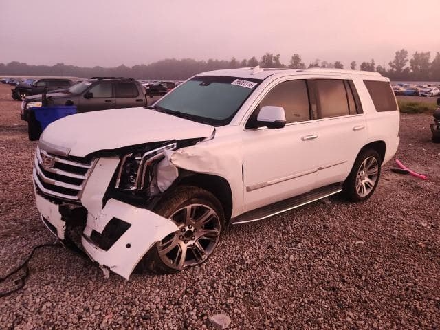 2017 CADILLAC ESCALADE LUXURY - 1