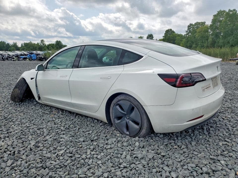 2019 TESLA MODEL 3 2