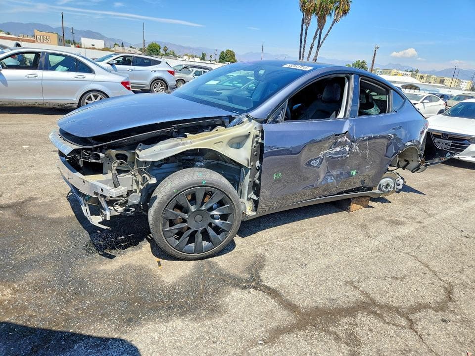 2021 TESLA MODEL Y - 1