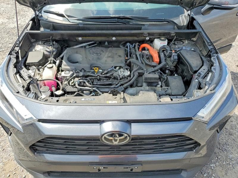 2025 TOYOTA RAV4 LE 12