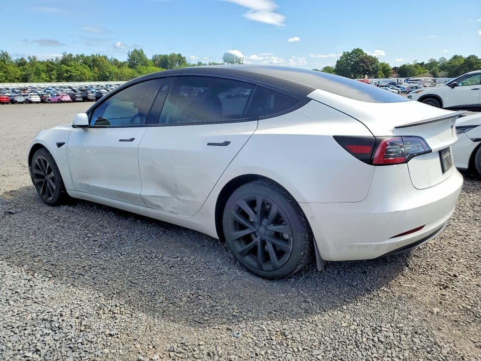 2019 TESLA MODEL 3 2
